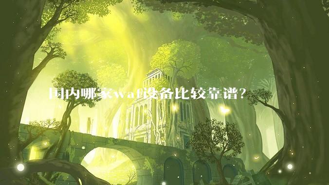 国内哪家waf设备比较靠谱？