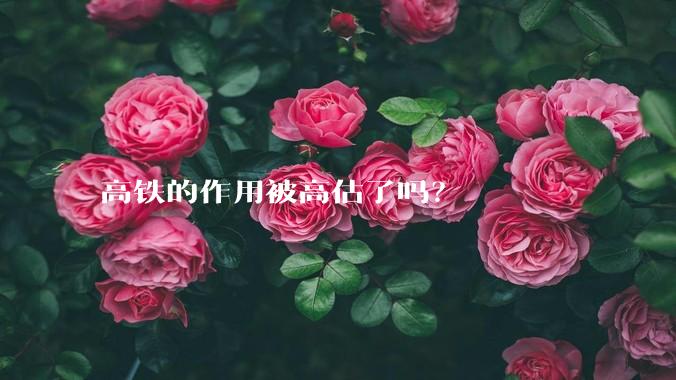 高铁的作用被高估了吗？